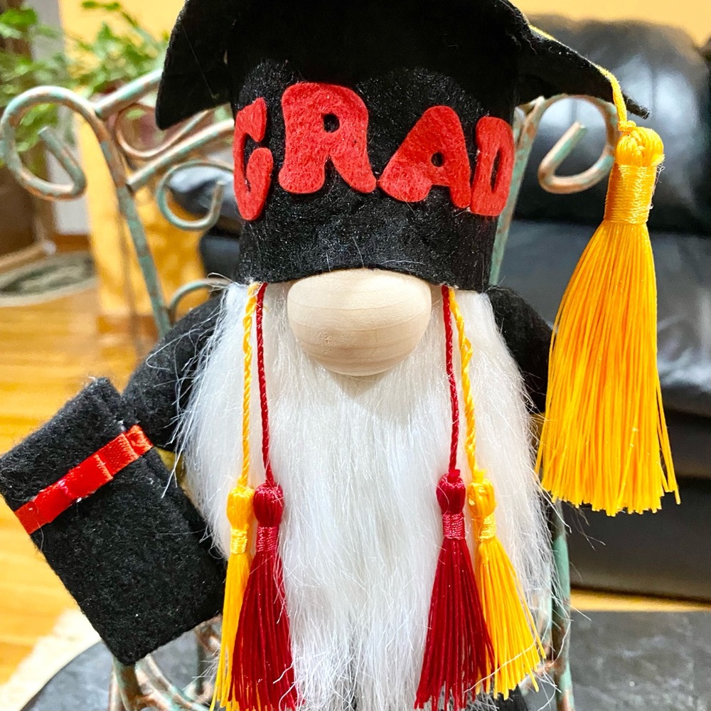 Graduation gnome - Picture 6 of 7